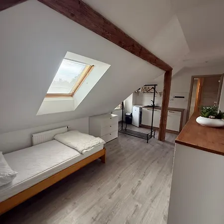 Apartmany Mocovice 아파트 *